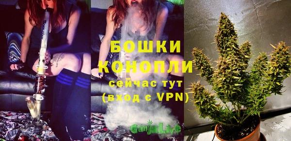 прущие крисы Беломорск