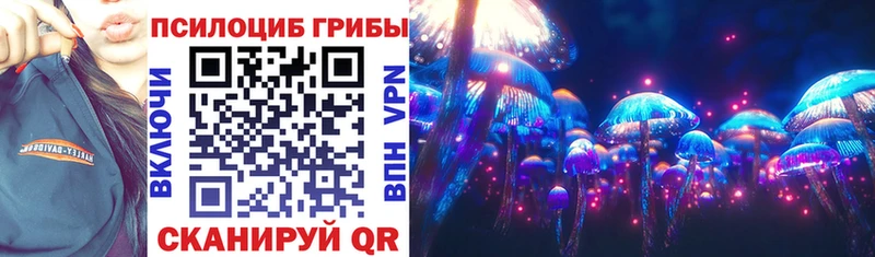 наркошоп  Севск  Галлюциногенные грибы прущие грибы 